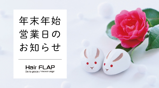 flap_bn_01